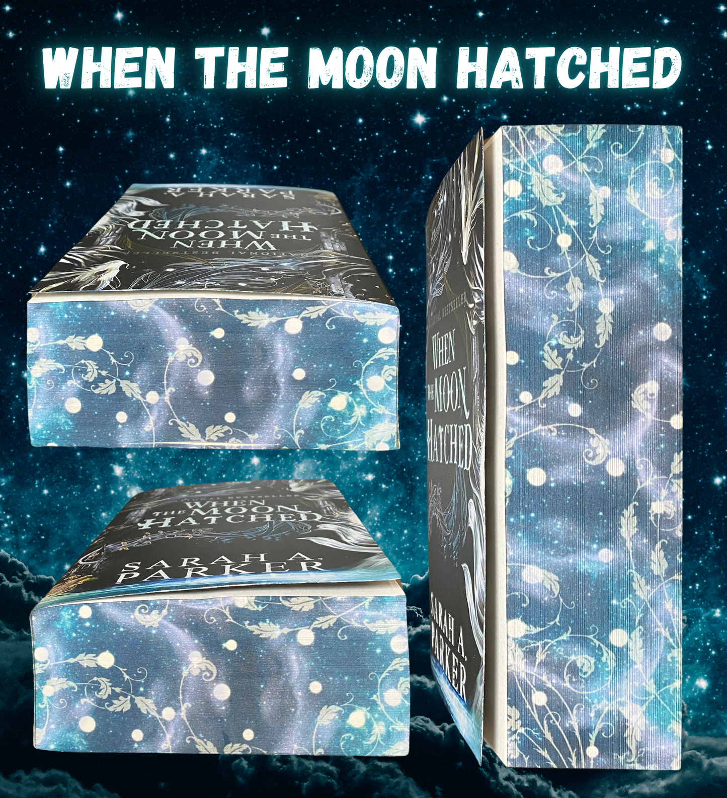 When The Moon Hatched Paperback