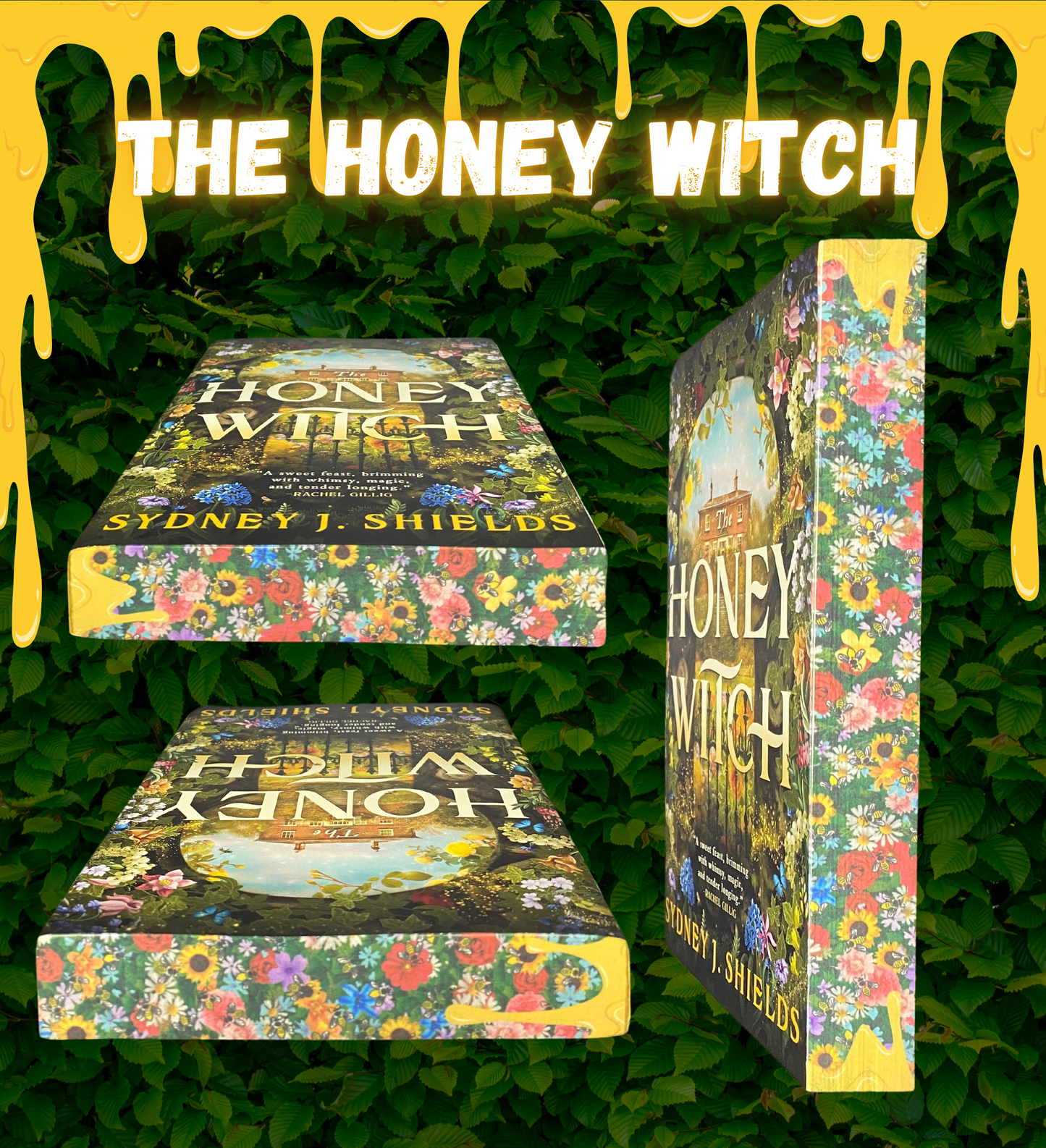 The Honey Witch Paperback