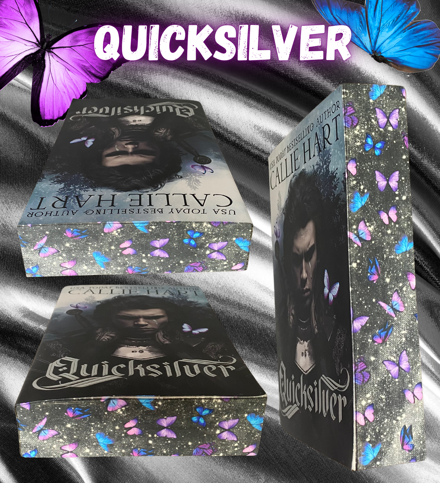 Quicksilver Paperback